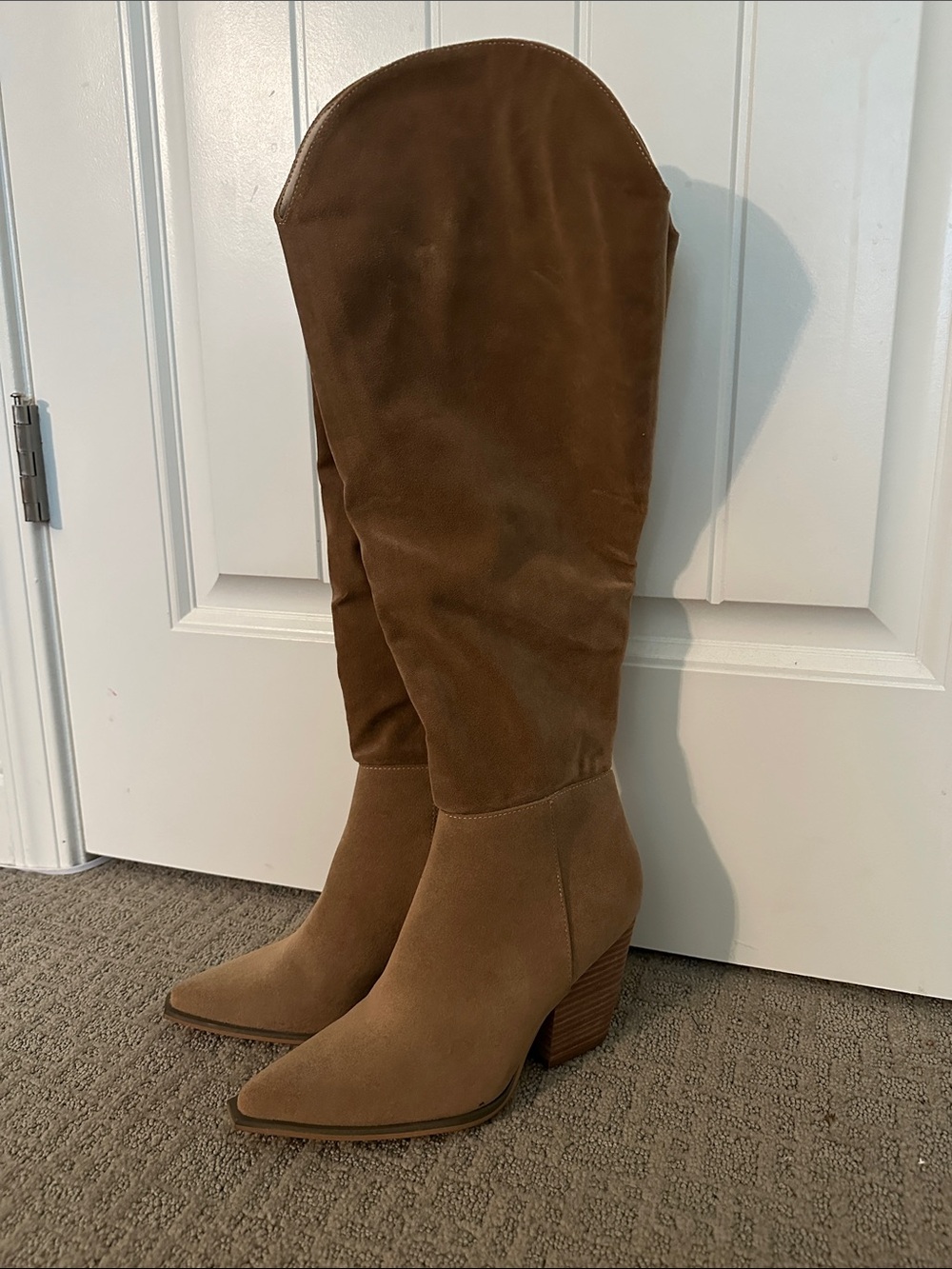 Knee-High Pointed Toe Suede